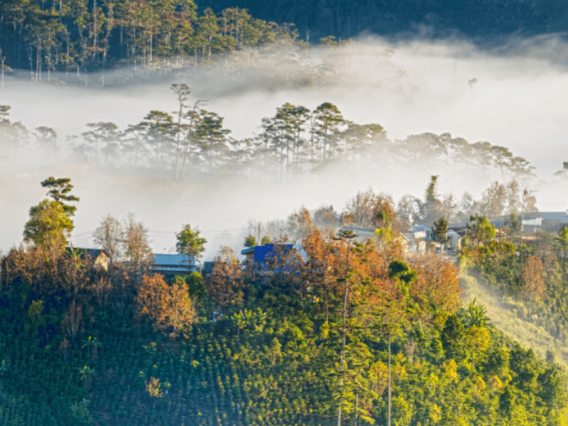 Central Highlands, Vietnam