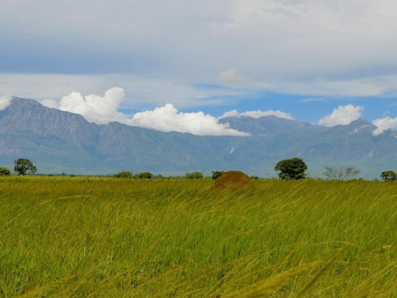 Mt. Mulanje, Malawi