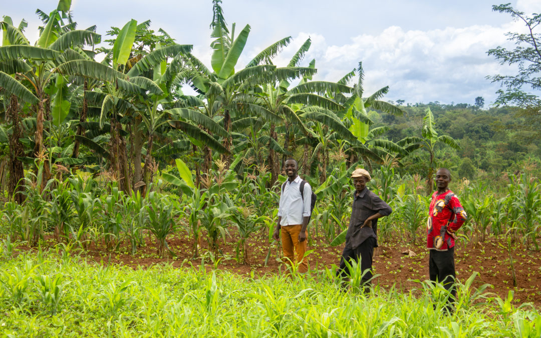 Driving Integrated Solutions From the Bottom Up: Building a Kenya Landscapes Coalition