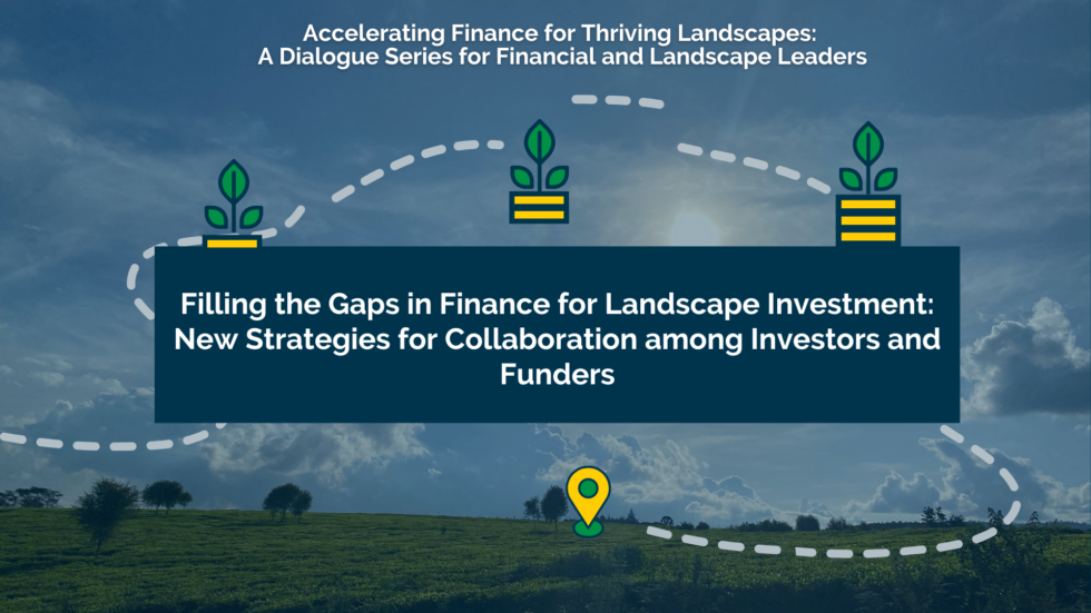 Filling the Gaps in Finance for Landscape Investment: New Strategies for Collaboration - 1000 