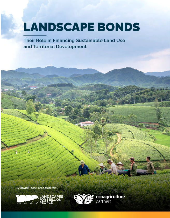 Strategy for scaling sustainable landscape solutions for people and planet report cover