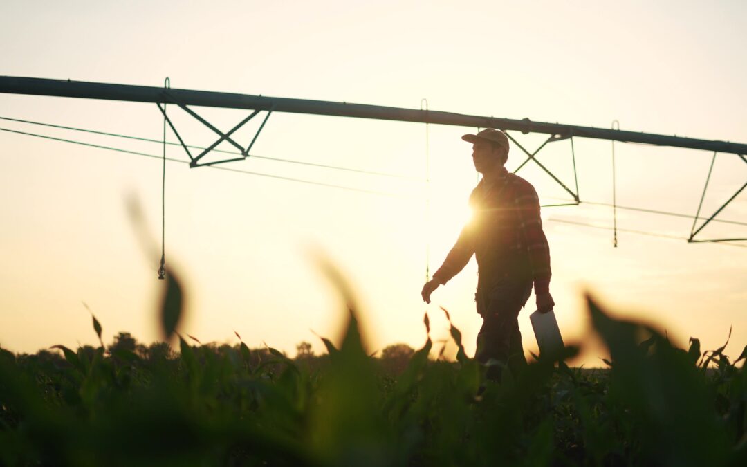 Food for Thought: 1000L and Regen10 Advance Regenerative Food Systems in Landscapes Worldwide