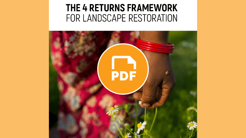 Four Returns Framework for Landscape Restoration resource