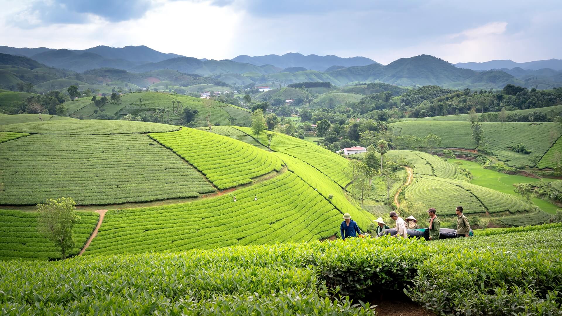 Understanding Integrated Landscape Management and Finance - 1000