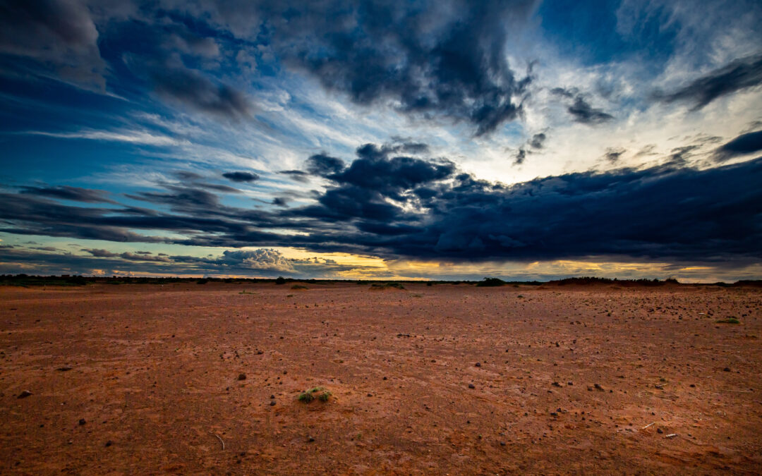 UNCCD COP16: 1000L and Partners Champion Landscape Approaches to Halt Drought and Desertification