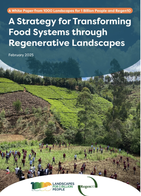 Strategy for scaling sustainable landscape solutions for people and planet report cover