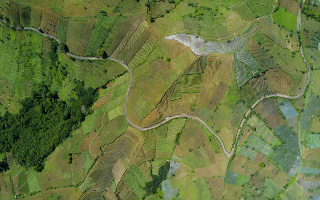 A Call for Public Policymakers to Embrace Integrated Landscape Strategies for National Prosperity